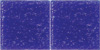 A37